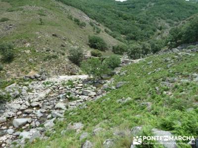 Parque Nacional Monfragüe - Reserva Natural Garganta de los Infiernos-Jerte;fiesta almudena